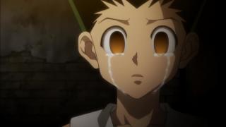 Gon crying