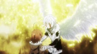 Accelerator White Wings