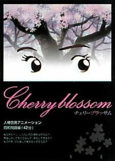 Cherry Blossom постер