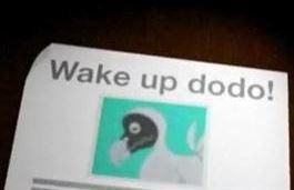 Wake Up! Dodo постер