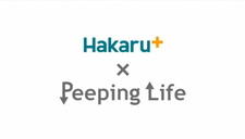 Takemoto Denki x Peeping Life постер