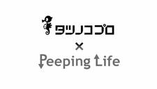 Tatsunoko Pro x Peeping Life постер