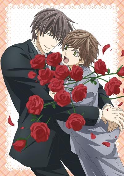 Sekaiichi Hatsukoi: Propose-hen постер