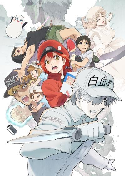 Hataraku Saibou!! постер