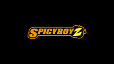 Spicy Boy Z постер