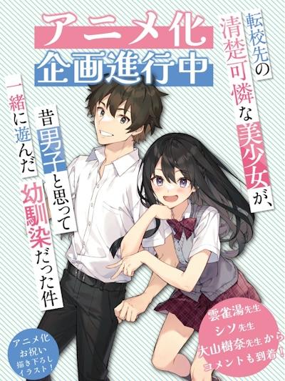 Tenkou-saki no Seiso Karen na Bishoujo ga, Mukashi Danshi to Omotte Issho ni Asonda Osananajimi Datta Ken постер